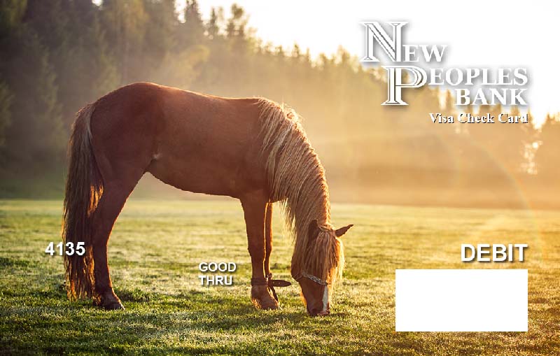 Card - Sunlit Horse
