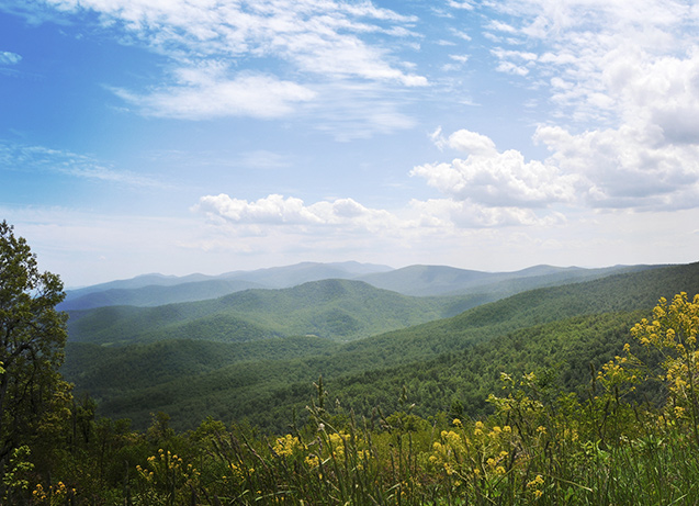 Summer mountainscape.