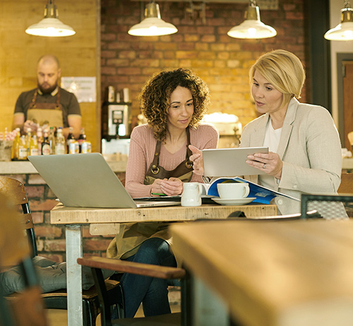 Business owner and advisor meeting.